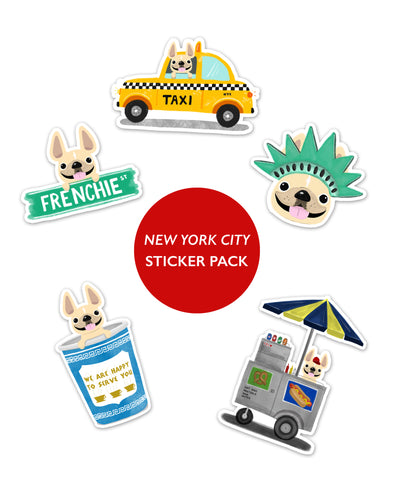 NEW YORK CITY STICKER PACK - Set of 5 - Waterproof Vinyl Stickers