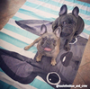 Grey / Striped French Bulldog Beach Towel - French Bulldog Love - 3