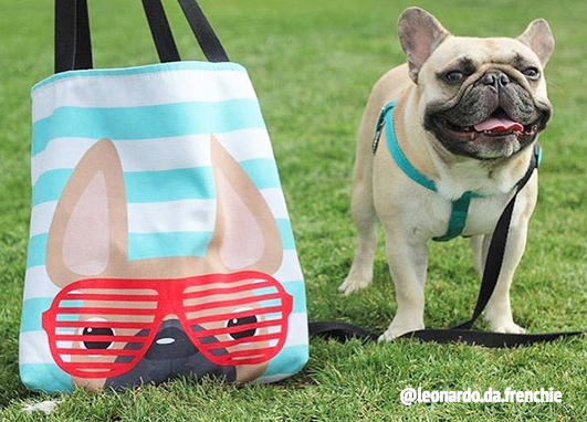 Fawn / Summer Shades French Bulldog on Teal Tote Bag - French Bulldog Love - 2