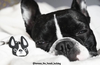 Frenchie Face Mini Keychain / Black & White Pied - French Bulldog Love - 2
