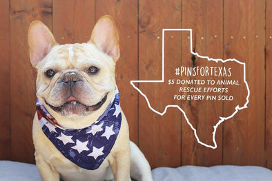 #PinsForTexas: Giving Back to the Animals in Houston - French Bulldog Love