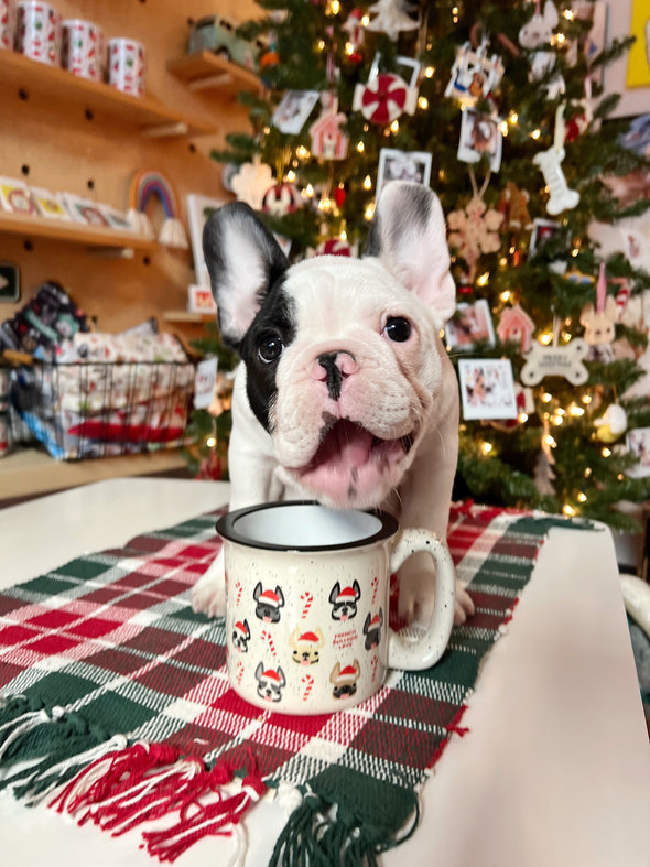 Candy Canes Ceramic Speckled Camper Mug - 13 oz