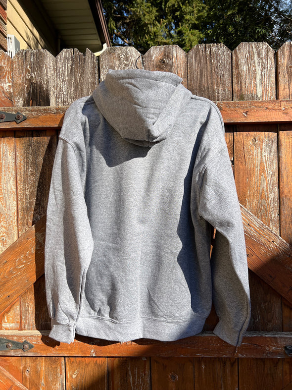 SAMPLE - DREAM BIG HOODIE - LARGE