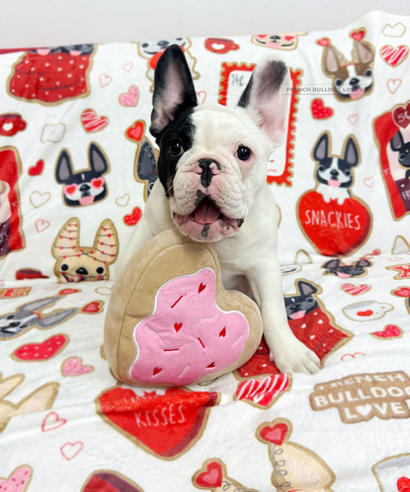 Valentine Cookies Fleece Blanket