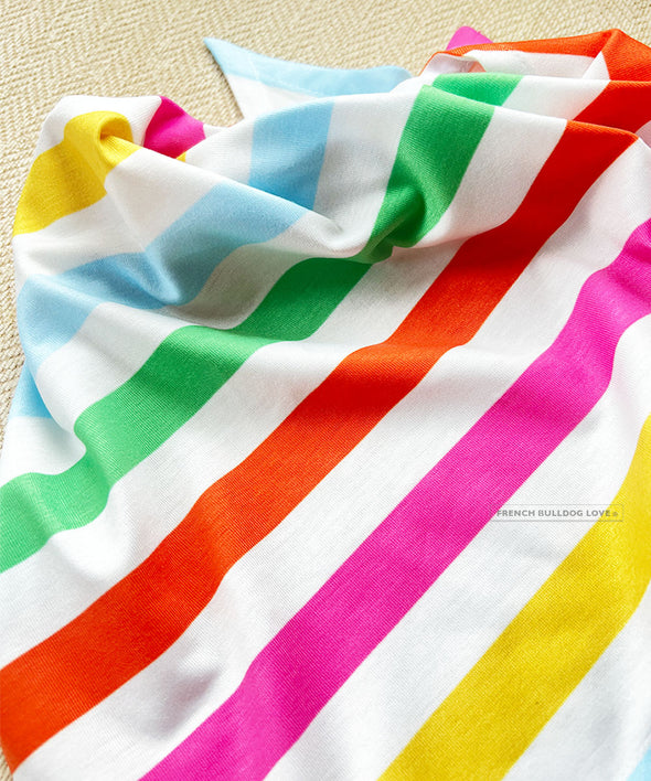 Summer Stripes Comfy Pet Bandana