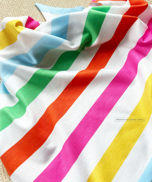 Summer Stripes Comfy Pet Bandana