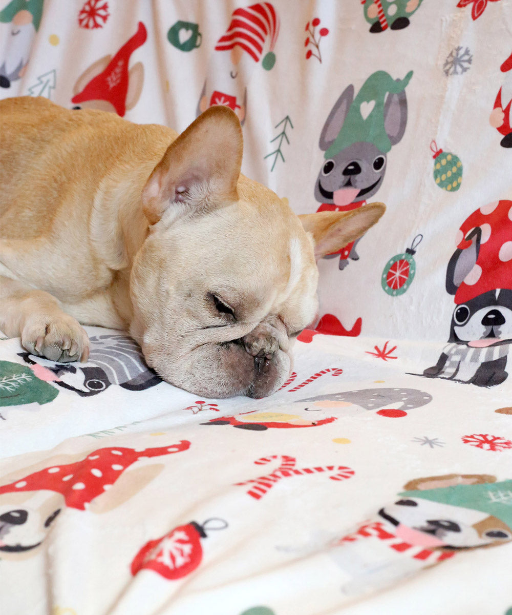 French bulldog 2024 print blanket