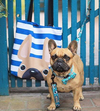 Fawn / Navy Striped French Bulldog Tote Bag - French Bulldog Love - 4