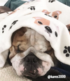 French Bulldog Love Bulldog Fleece Blanket