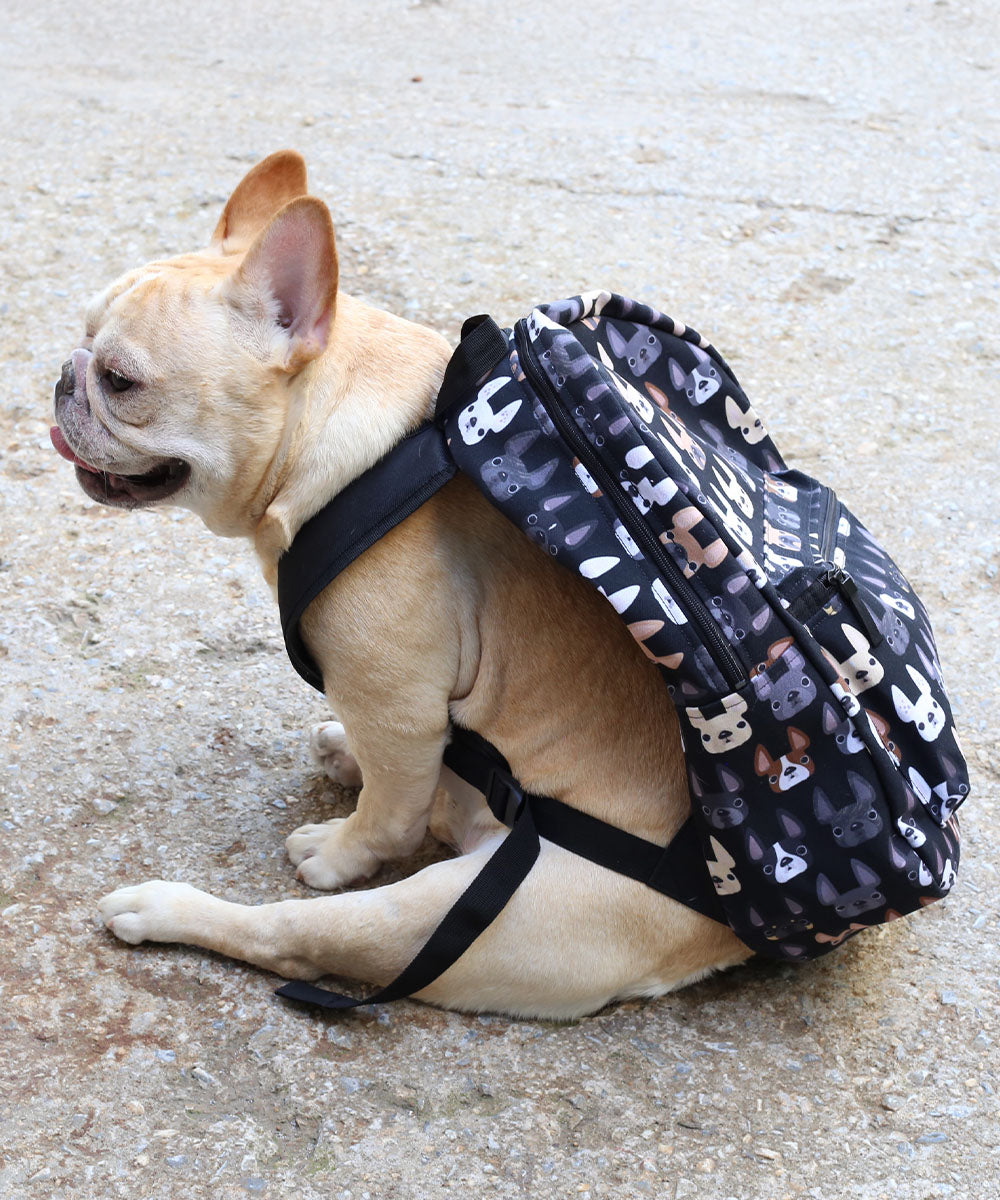 french bulldog mini backpack French Bulldog Backpack by French Bulldog Love