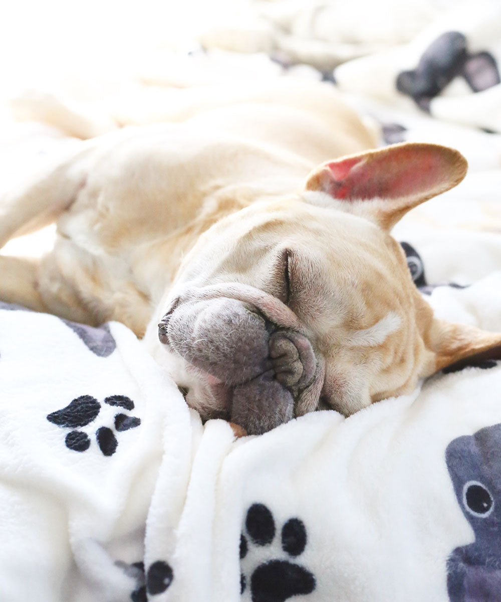 Dog Blanket French Bulldog Print Dog Bed The Classic Frenchie