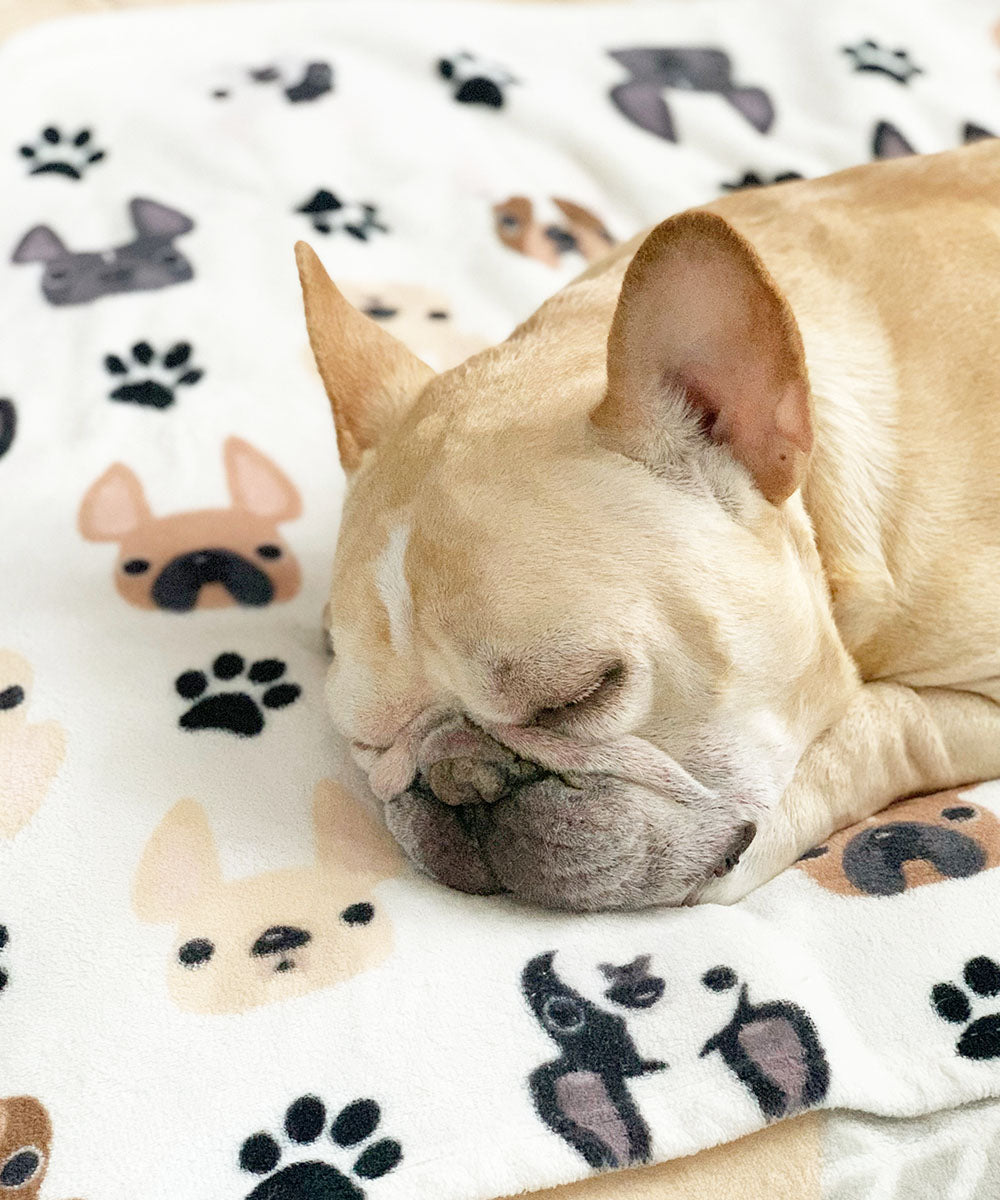 The Classic Frenchie Fleece Blanket - Main Image